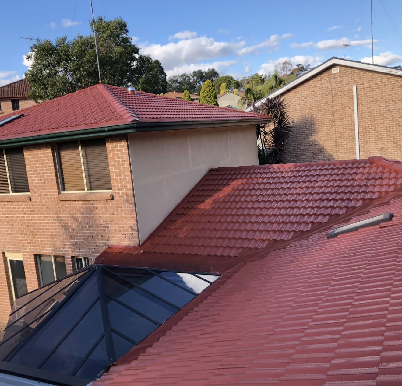 Roof Painting Service